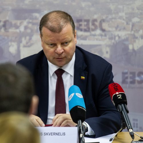 S. Skvernelis pristatė užsienio politikos strategiją  © P. Peleckio / Fotobanko nuotr.