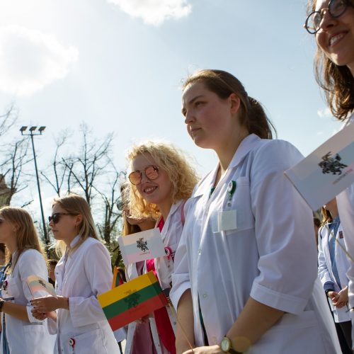 Jaunieji gydytojai Vilniuje surengė šventinį mitingą  © P. Peleckio / Fotobanko nuotr.