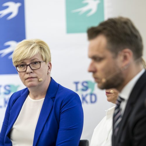 Konservatoriai pristatė Seimo rinkimų programą  © P. Peleckio / Fotobanko nuotr.