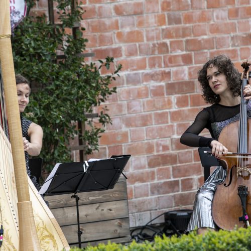 Festivalio „Midsummer Vilnius“ pusryčiai  © P. Peleckio / Fotobanko nuotr.