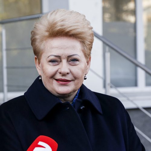 Iš anksto balsavo D. Grybauskaitė  © M. Morkevičiaus / ELTOS, P. Peleckio / Fotobanko nuotr.