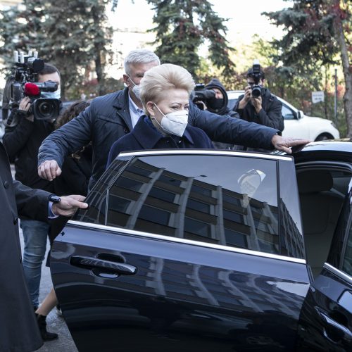 Iš anksto balsavo D. Grybauskaitė  © M. Morkevičiaus / ELTOS, P. Peleckio / Fotobanko nuotr.
