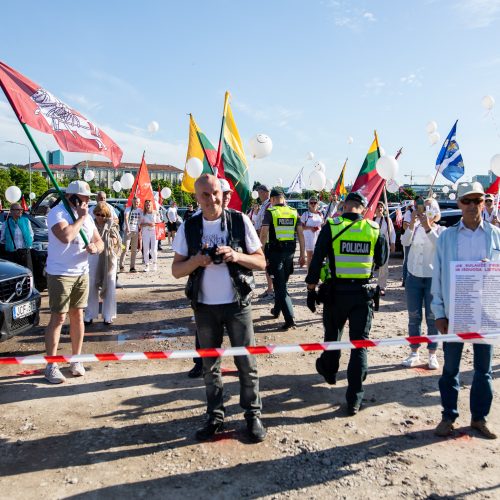 Šeimų maršo protestas prie Seimo  © I. Gelūno / Fotobanko nuotr.