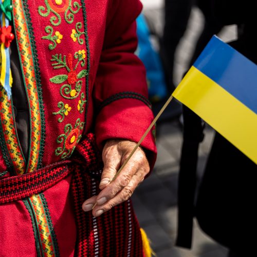 Ukrainos dienų „Vilniushyvanka“ pristatymas  © Ž. Gedvilos / BNS nuotr.