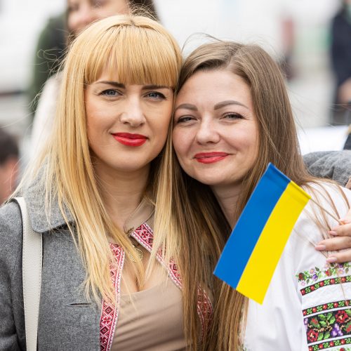 Ukrainos dienų „Vilniushyvanka“ pristatymas  © Ž. Gedvilos / BNS nuotr.