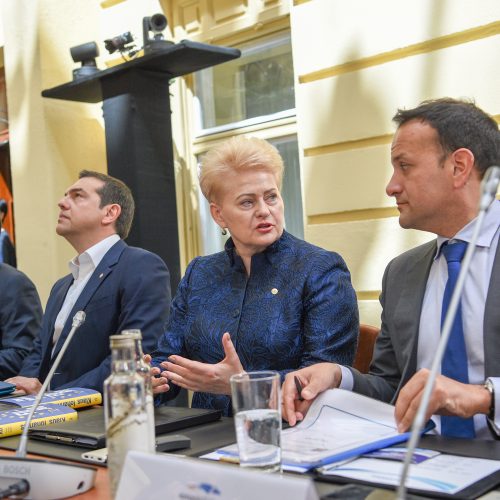 Prezidentė – Europos Vadovų Tarybos posėdyje  © R. Dačkaus / Prezidentūros nuotr.