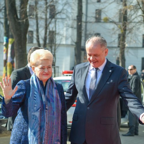 D. Grybauskaitė – NATO valstybių vadovų susitikime  © Roberto Dačkaus / Prezidentūros nuotr.