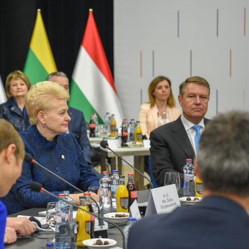 D. Grybauskaitė – NATO valstybių vadovų susitikime  © Roberto Dačkaus / Prezidentūros nuotr.