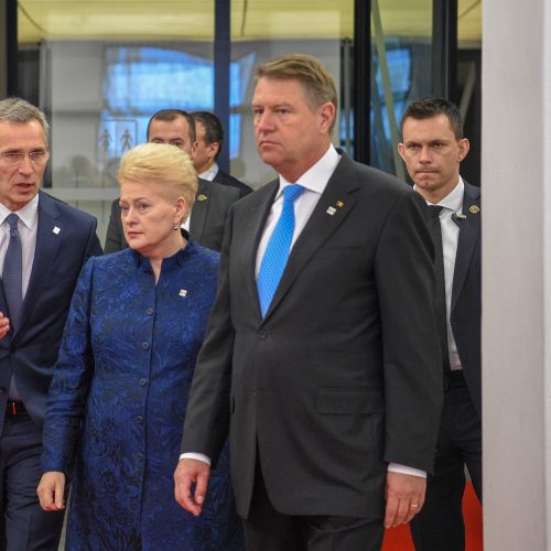 D. Grybauskaitė – NATO valstybių vadovų susitikime  © Roberto Dačkaus / Prezidentūros nuotr.