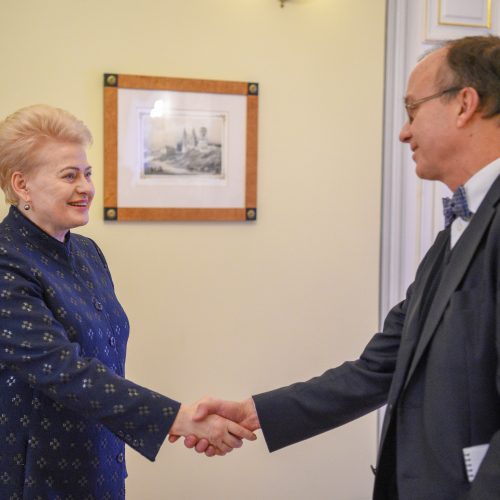 Prezidentė susitiko su ambasadoriais  © Roberto Dačkaus / Prezidentūros nuotr.