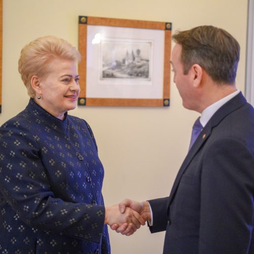 Prezidentė susitiko su ambasadoriais  © Roberto Dačkaus / Prezidentūros nuotr.