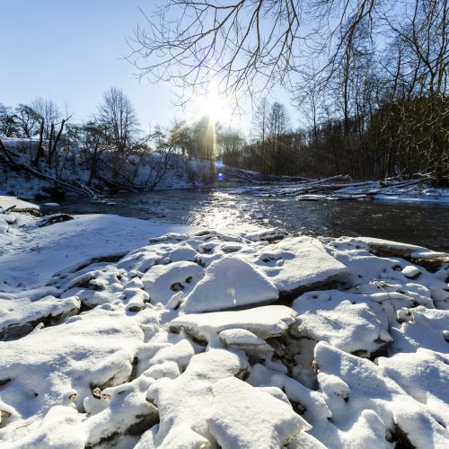Žiema Pavilnių regioniniame parke  © L. Balandžio / BNS nuotr.