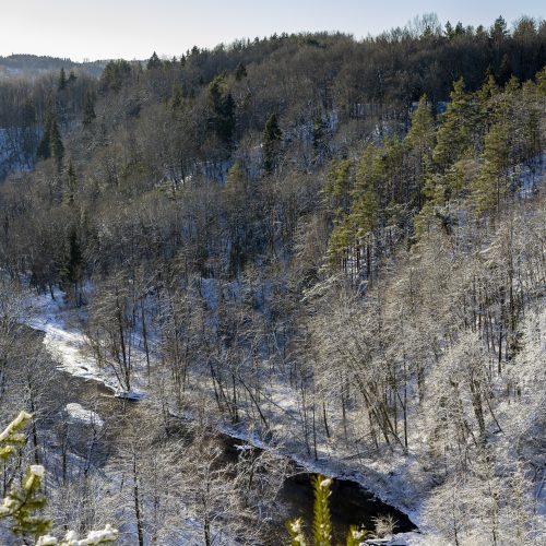 Žiema Pavilnių regioniniame parke  © L. Balandžio / BNS nuotr.