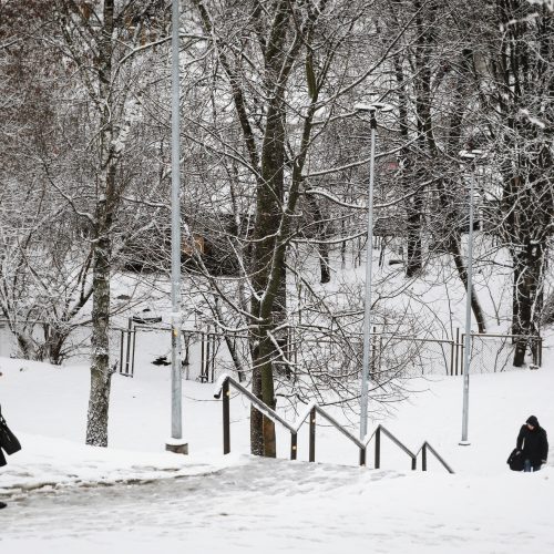 Vilnių užklojo sniegas  © Irmanto Gelūno / Fotobanko, Mariaus Morkevičiaus / ELTOS nuotr.