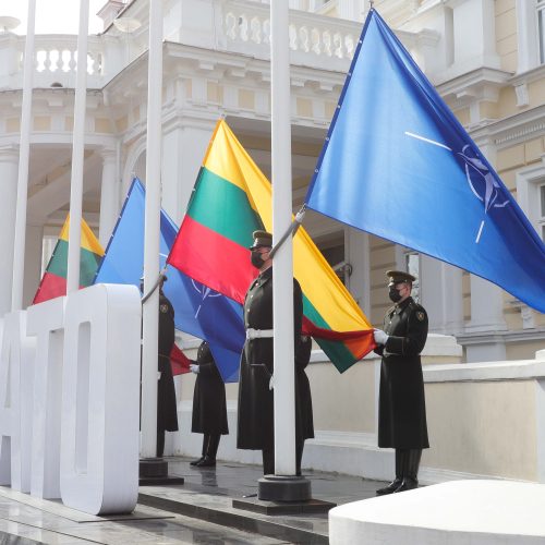 Minimos Lietuvos narystės NATO 17-osios metinės  © D. Labučio / ELTOS nuotr.