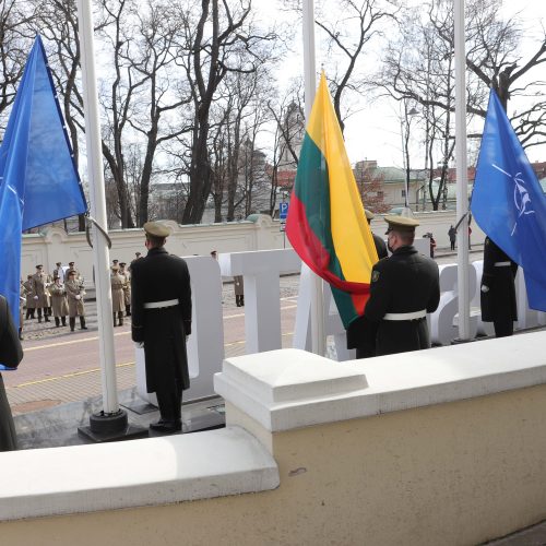 Minimos Lietuvos narystės NATO 17-osios metinės  © D. Labučio / ELTOS nuotr.