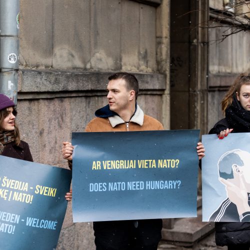 Protestas prie Vengrijos ambasados  © P. Peleckio / BNS nuotr.