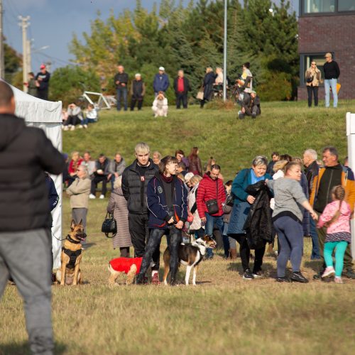 Šančiai pakvietė švęsti tradicinę bendruomenės šventę  © V. Šulinsko nuotr.