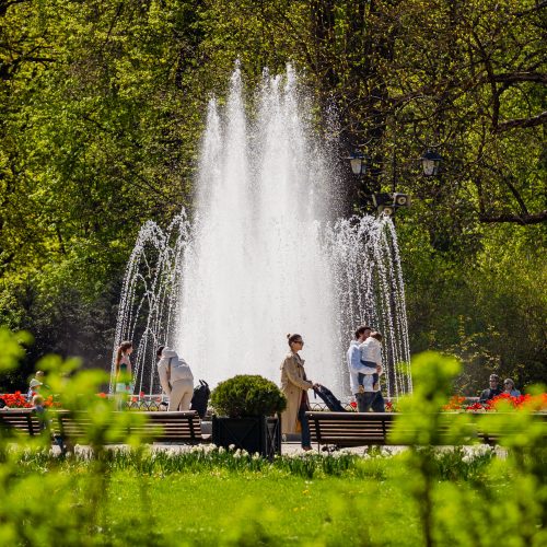 Vasariška šiluma Vilniuje  © S. Lisausko/BNS nuotr.