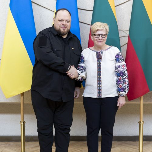 I. Šimonytė susitiko su Ukrainos Aukščiausiosios Rados Pirmininku R. Stefančiuku  © I. Gelūno/BNS nuotr..