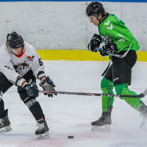 LLRČ 1/2 finalo: „Kaunas Hockey“ – „Baltų ainiai“ 8:4  © Evaldo Šemioto nuotr.
