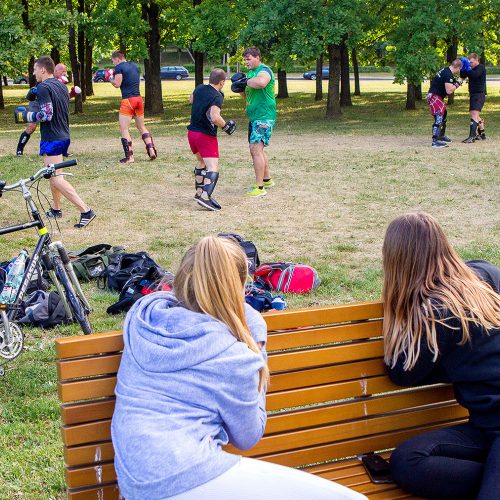 Atvira savigynos treniruotė Kalniečių parke  © Evaldo Šemioto nuotr.