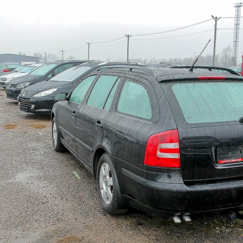 Kauno automobilių turgus  © Evaldo Šemioto nuotr.