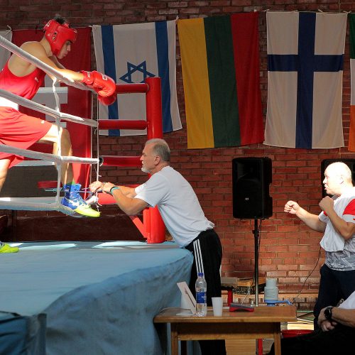 R. Tamulio bokso turnyro pusfinaliai   © Evaldo Šemioto nuotr.