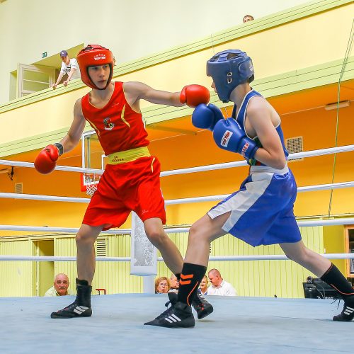 V.Buikos atminimo bokso turnyro pusfinaliai  © Evaldo Šemioto nuotr.