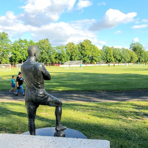 LFF taurės aštuntfinalis: „Sveikata“ – „Kauno Žalgiris“ 0:4  © Evaldo Šemioto nuotr.