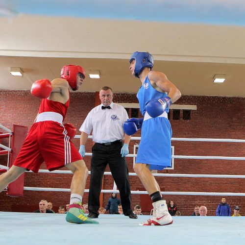 R. Tamulio bokso turnyro ketvirtfinaliai  © Evaldo Šemioto nuotr.