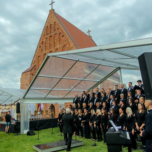 Valstybės dienos paminėjimas Zapyškyje  © Evaldo Šemioto nuotr.