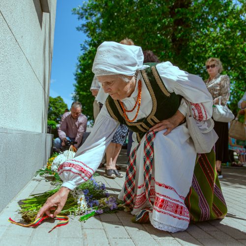 Gedulo ir vilties dienos minėjimas Kaune  © Kauno miesto savivaldybės 