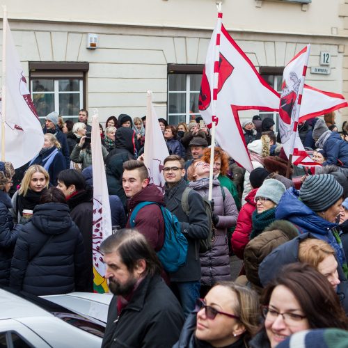 Protestas „Paskutinis skambutis“  © Vilijos Virkutytės, Pauliaus Peleckio/Fotobanko nuotr, Dainiaus Labučio (ELTA) nuotr.