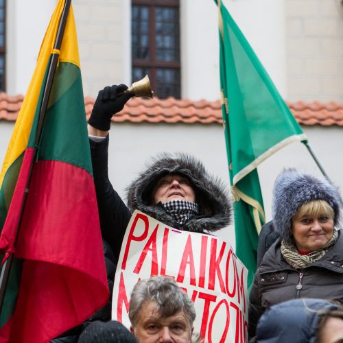 Protestas „Paskutinis skambutis“  © Vilijos Virkutytės, Pauliaus Peleckio/Fotobanko nuotr, Dainiaus Labučio (ELTA) nuotr.