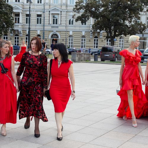Kampanijos „Raudona suknelė“  labdaros renginys  © 