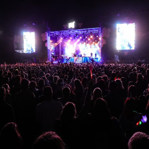 Muzikos festivalis „Granatos Live 2019“  © T.Biliūno/Fotobanko nuotr.