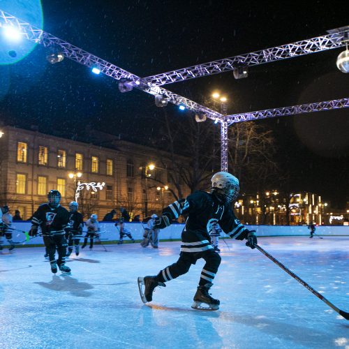Lukiškių aikštėje atidaryta ledo čiuožykla  © P. Peleckio / Fotobanko nuotr.