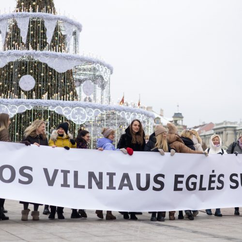 Akcija „Visos Vilniaus Eglės palaiko kalėdinę Vilniaus eglę“  © I. Gelūno / BNS nuotr.
