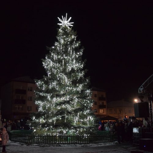 Vilkaviškyje tūkstančiais lempučių nušvito miesto eglė  © Vilkaviškio rajono savivaldybės nuotr.