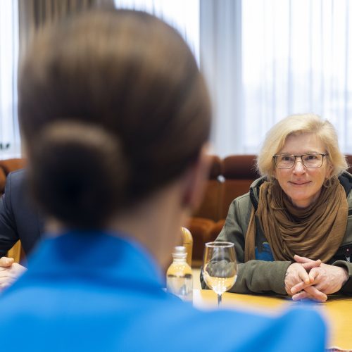 V. Čmilytė-Nielsen susitiko su Ukrainos savanore paramedike J. Pajevska-Taira  © I. Gelūno / BNS nuotr.