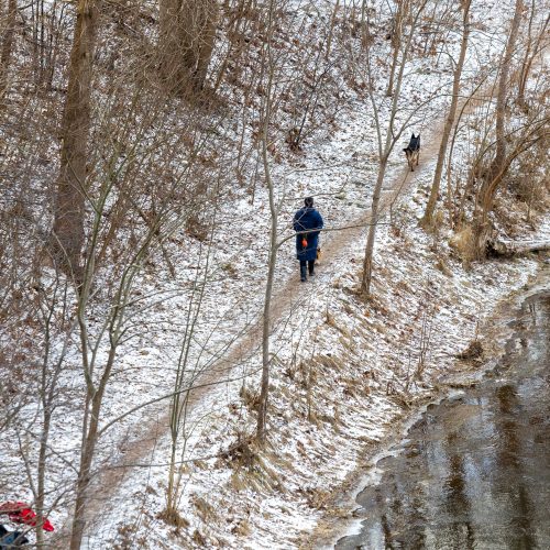 Tęsiama dingusio 15-mečio paieška Vilniuje  © Butauto Barausko, L. Balandžio / BNS nuotr.