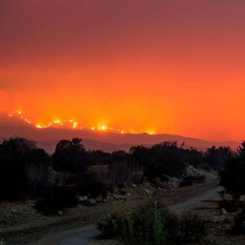 Pietų Kalifornijoje – nesutramdomi miškų gaisrai  © Scanpix nuotr.