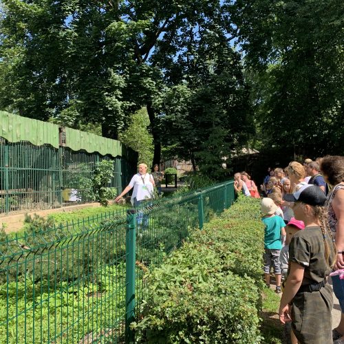 Lietuvos zoologijos sodas atšventė 82-ąjį gimtadienį  © Deimantės Buslevičiūtės nuotr.