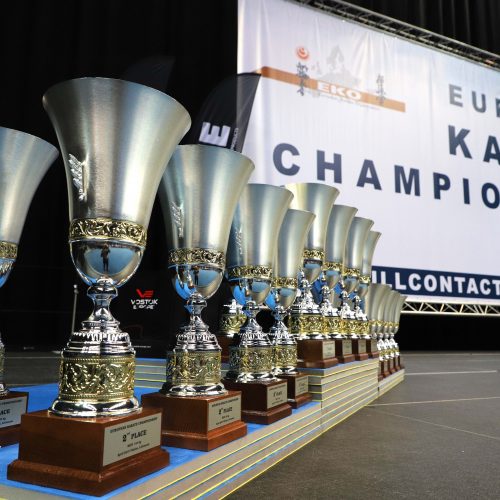 Europos pilno kontakto karatė čempionatas  © D.Labučio/ELTA nuotr.