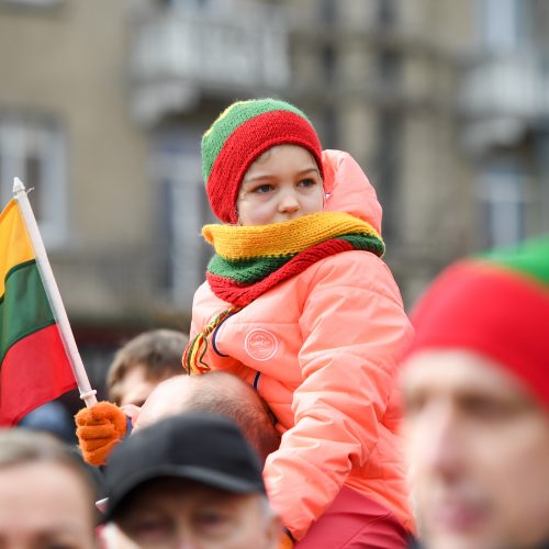 Nepriklausomybės aikštėje plevėsuoja trijų Baltijos valstybių vėliavos  © R. Dačkaus / LR Prezidento kanceliarijos nuotr.