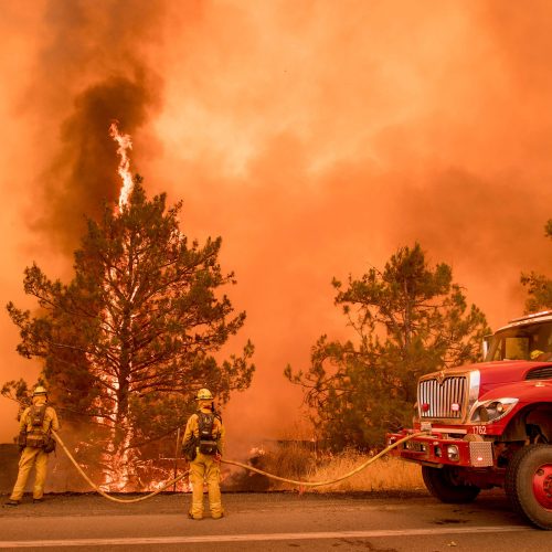 Kalifornijoje kovojama su didžiuliais miškų gaisrais  © Scanpix nuotr.