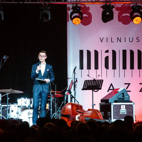 Festivalis „Vilnius Mama Jazz“    © G. Skaraitienės / Fotobanko nuotr.