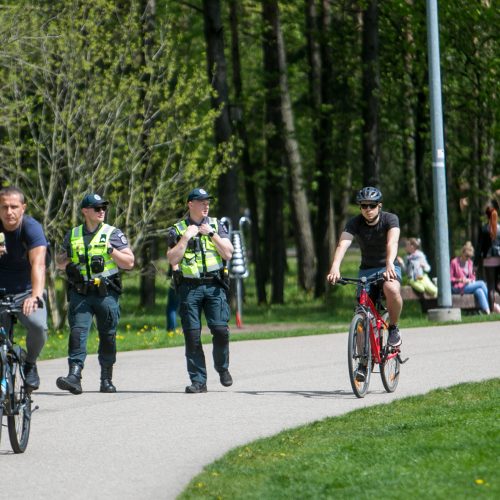 Vingio parke renkasi „Didžiojo šeimos gynimo maršo“ dalyviai  © Vilmanto Raupelio nuotr.