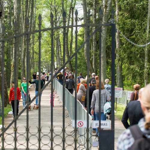 Burbiškio dvaro parke – tulpių jūra  © Butauto Barausko nuotr.